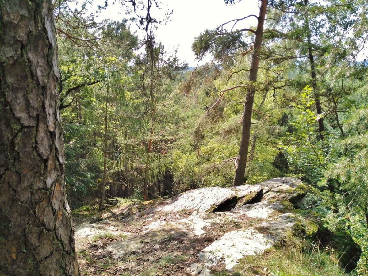 Fewo Well Gladenbach Buitenkant foto